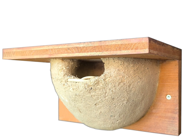 fnisthilfen 