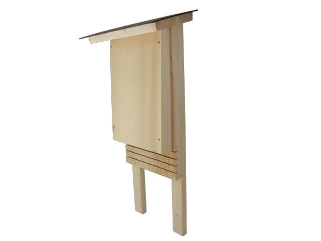 Saugetiere 