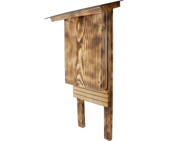 Saugetiere 
