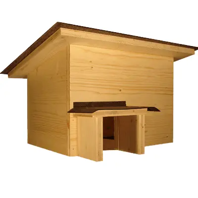 Saugetiere 