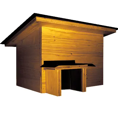 Saugetiere 